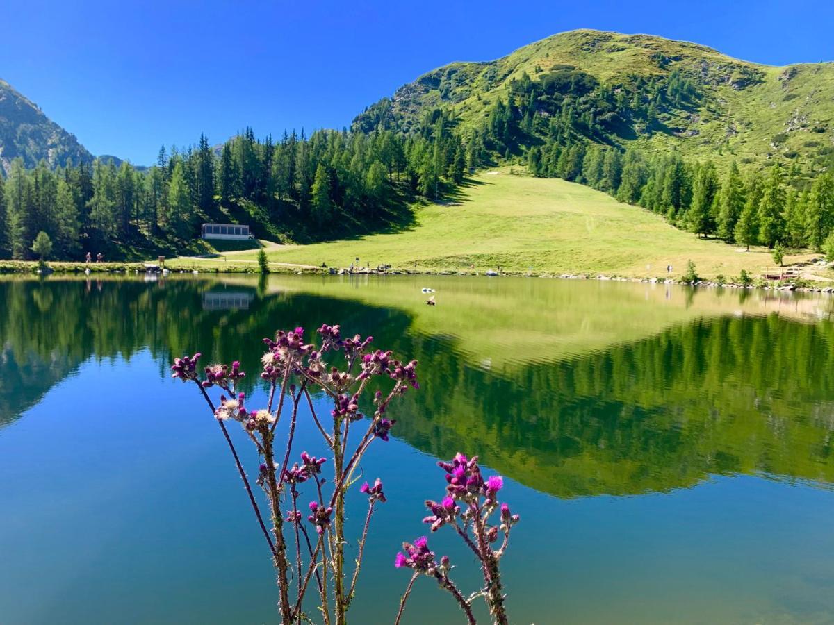 Vesterberg Apartments In Top Lage - Top Lage Schladming Esterno foto